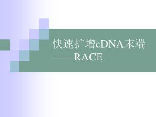 快速扩增 cDNA 末端 ——RACE