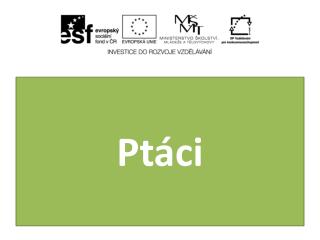 Ptáci