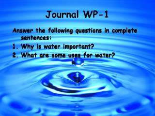 Journal WP-1