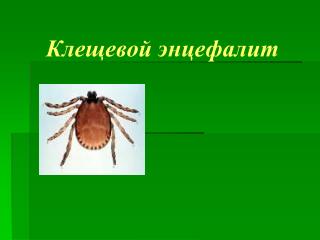 Клещевой энцефалит