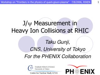 J/ y Measurement in Heavy Ion Collisions at RHIC