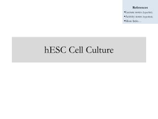 hESC Cell Culture