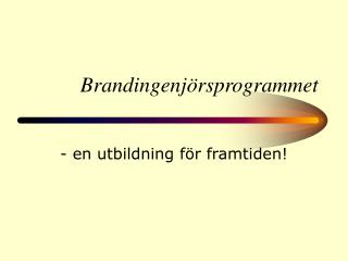 Brandingenjörsprogrammet