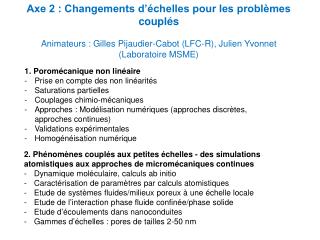 Axe 2 : Changements d’échelles pour les problèmes couplés