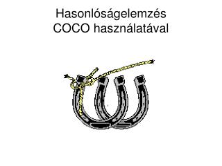 Hasonlóságelemzés C O C O használatával