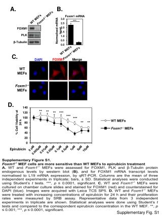 Normalised mRNA level