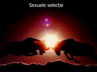 Sexuele selectie