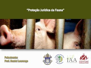“Proteção Jurídica da Fauna”