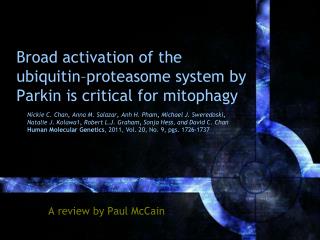 Broad activation of the ubiquitin–proteasome system by Parkin is critical for mitophagy