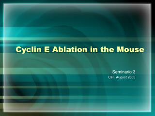 Cyclin E Ablation in the Mouse