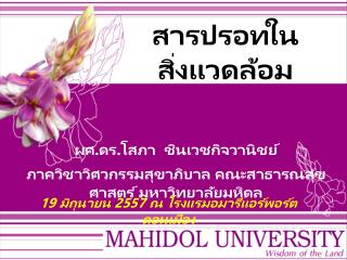 สารปรอทในสิ่งแวดล้อม