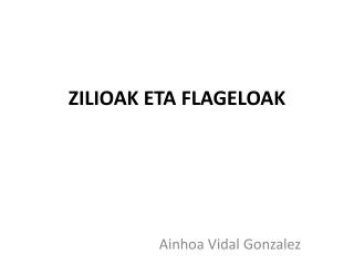 ZILIOAK ETA FLAGELOAK