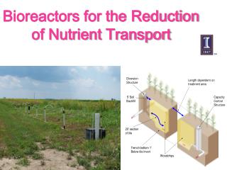 Bioreactors for the Reduction of Nutrient Transport