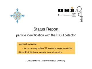 Status Report particle identification with the RICH detector
