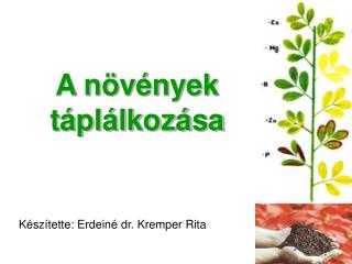 A növények táplálkozása