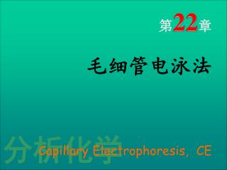 第 22 章 毛细管电泳法 Capillary Electrophoresis, CE