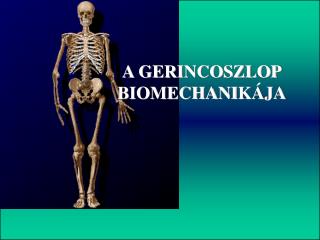 A GERINCOSZLOP BIOMECHANI KÁJA