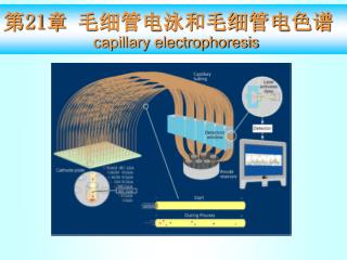 第 21 章 毛细管电泳和毛细管电色谱 capillary electrophoresis