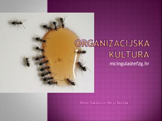 Organizacijska kultura