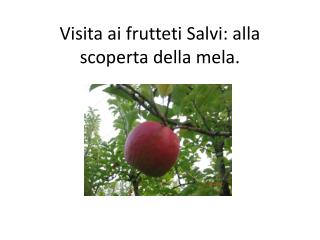 Visita ai frutteti Salvi: alla scoperta della mela.