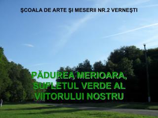 ŞCOALA DE ARTE ŞI MESERII NR.2 VERNEŞTI P ĂDUREA MERIOARA, SUFLETUL VERDE AL VIITORULUI NOSTRU