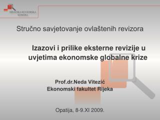 Stručno savjetovanje ovlaštenih revizora