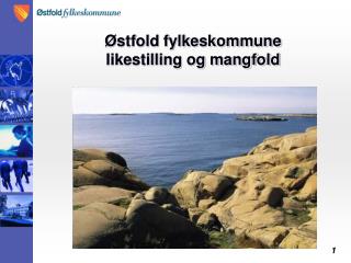 Østfold fylkeskommune likestilling og mangfold