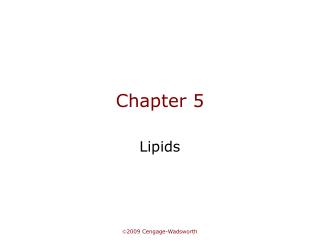 Chapter 5