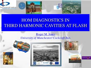 HOM DIAGNOSTICS IN THIRD HARMONIC CAVITIES AT FLASH