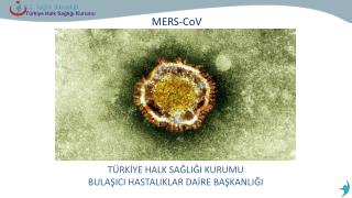 MERS- CoV