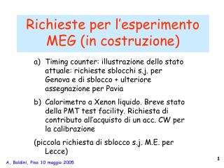 Richieste per l’esperimento MEG (in costruzione)