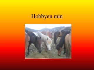 Hobbyen min