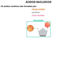 Os ácidos nucleicos são formados por: