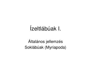 Ízeltlábúak I.