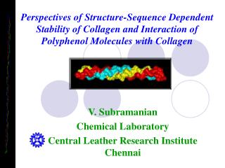 V. Subramanian Chemical Laboratory Central Leather Research Institute Chennai