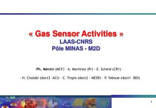 « Gas Sensor Activities » LAAS-CNRS Pôle MINAS - M2D