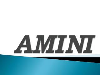 AMINI