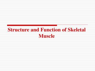 Structure and Function of Skeletal Muscle