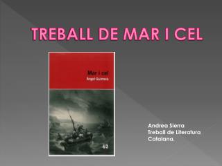 TREBALL DE MAR I CEL