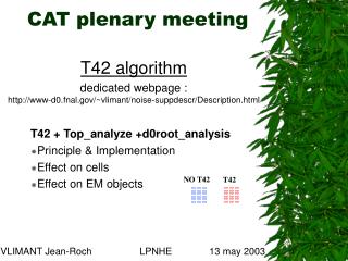 CAT plenary meeting