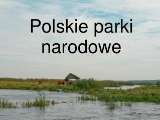 Polskie parki narodowe