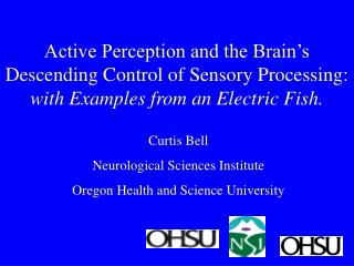 Curtis Bell Neurological Sciences Institute Oregon Health and Science University