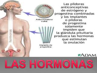 LAS HORMONAS