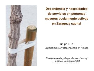Dependencia y necesidades de servicios en personas mayores socialmente activas en Zaragoza capital
