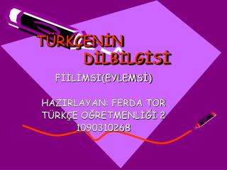 TÜRKÇENİN 				DİLBİLGİSİ