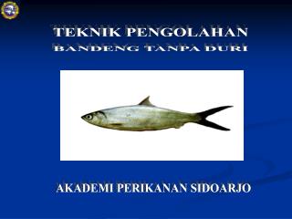 TEKNIK PENGOLAHAN