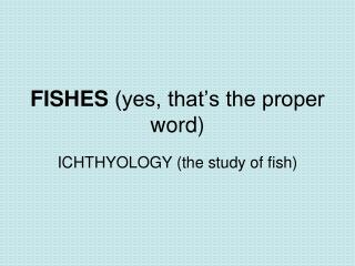 FISHES (yes, that’s the proper word)