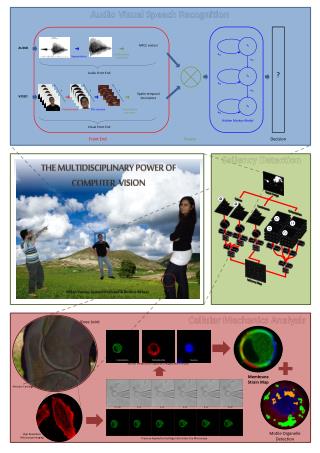 Cellular Mechanics Analysis