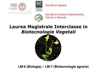 Facoltà di Scienze Matematiche, Fisiche e Naturali