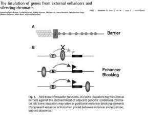 Ejemplo de un “insulator” con efecto barrera y bloqueador de enhancer